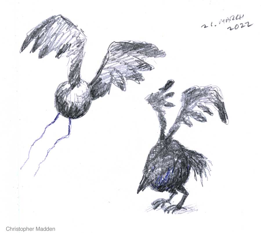 contemporary art pencil sketch from the imagination contemporary art pencil sketch from the imagination - imaginary winged creature