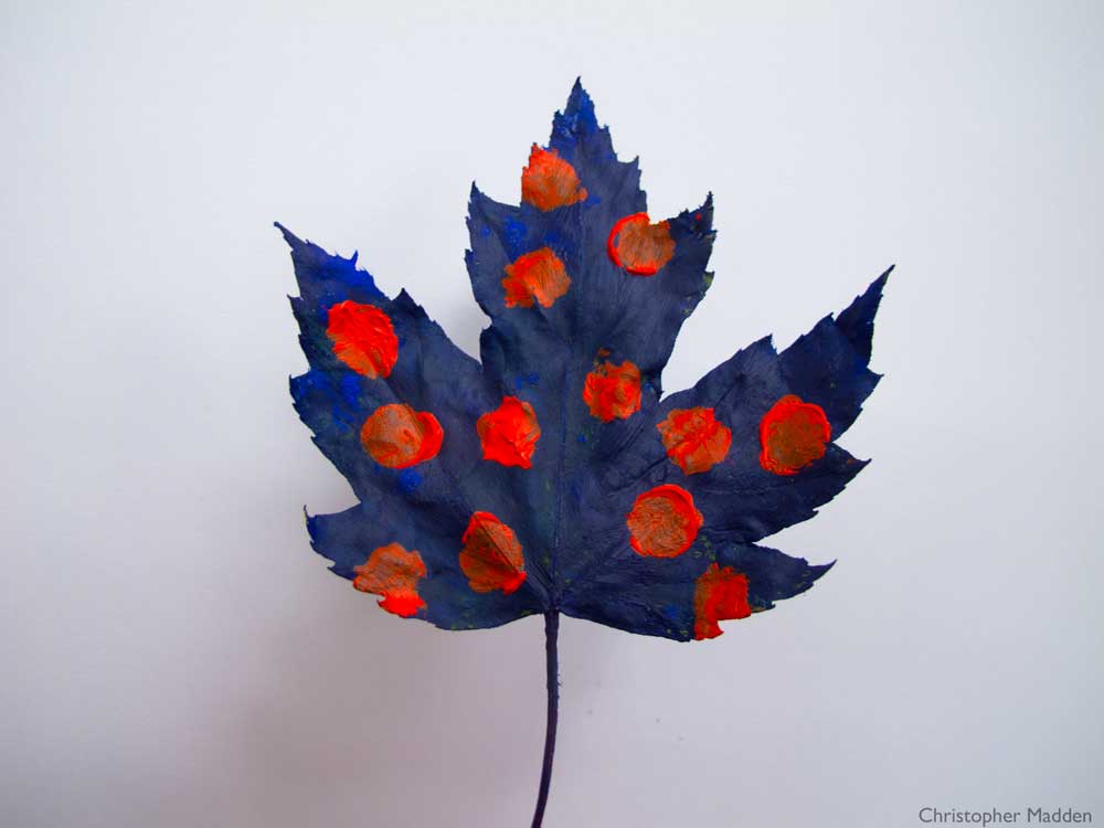 Contemporary art in the environment- a painted leaf