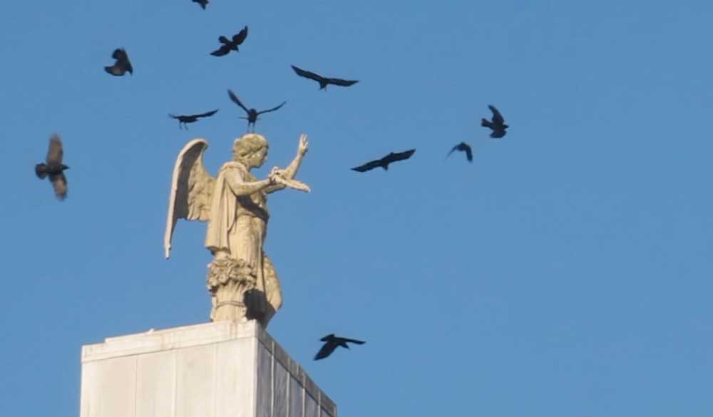 Contemporary art about flight - birds flying round winged angel statue