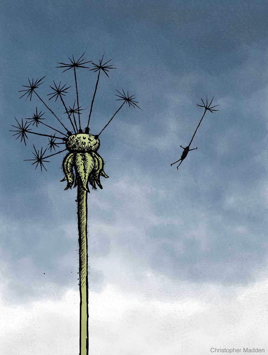 Contemporary art print – Dandelion clock figure Contemporary art print - dandelion clock figure