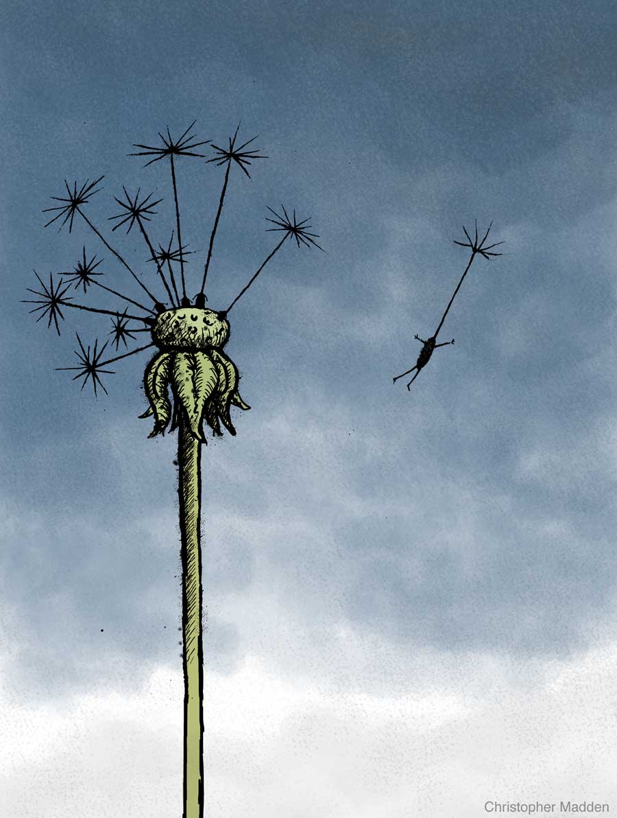 Contemporary art print - dandelion clock figure