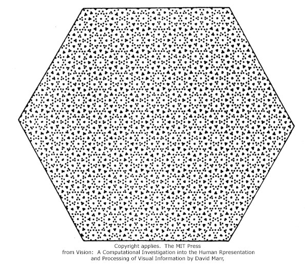 David Marr visual processing dot pattern