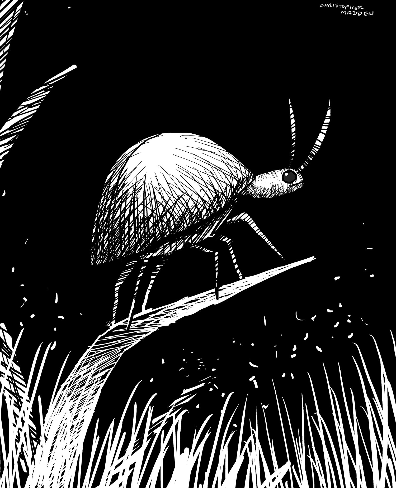 Contemporary art sketch - insect print Contemporary art sketch - insect print