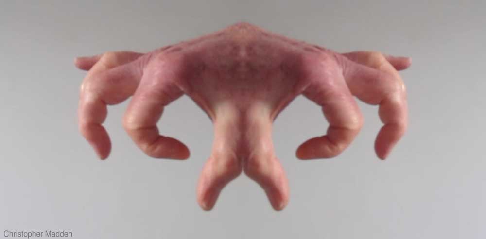 contemporary art - metamorphosis of a hand into an alien life-form contemporary art - metamorphosis of a hand to become alien by reflection