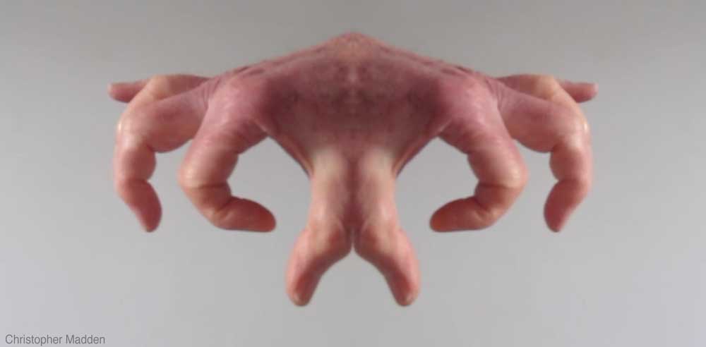 contemporary art - metamorphosis of a hand to become alien by reflection