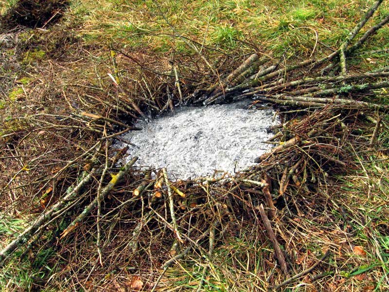 contemporary art in the environment - fire circle