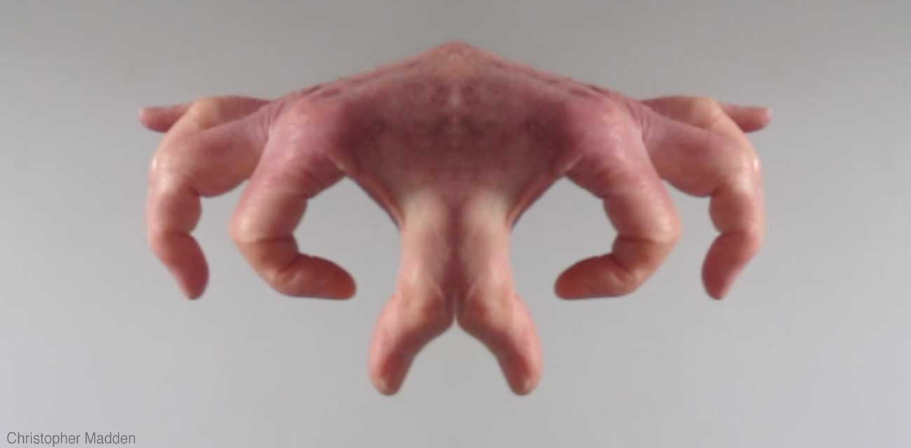 contemporary moving image art - surreal hands as an alien crerature