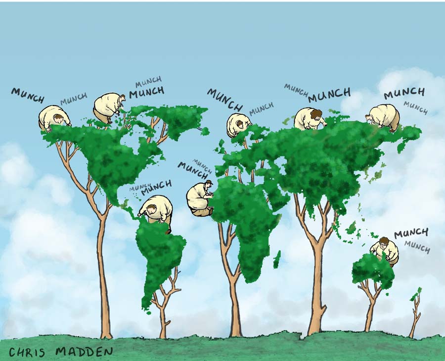 deforestation cartoon