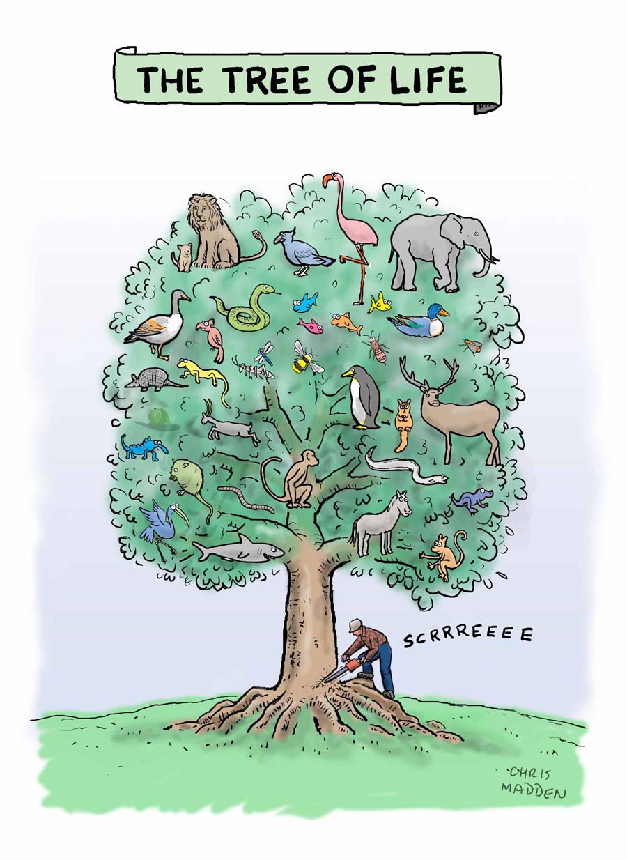 tree of life cartoon