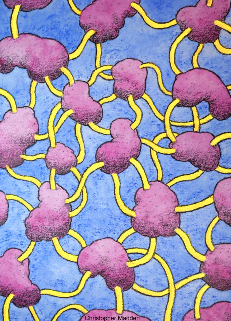 contemporary art works on paper Organic Matrix contemporary art works on paper Organic Matrix