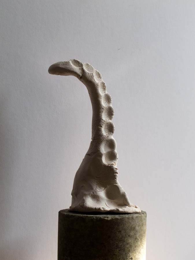 Contemporary ceramics - bone-like sculpture